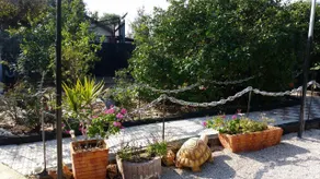 Asbn Magic Garden - Image 3