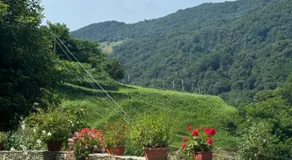 B&b Al Ciliegio Del Turchino - Image 4