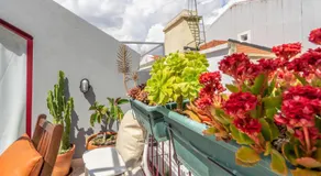 Lisbon Poets Inn - Image 4