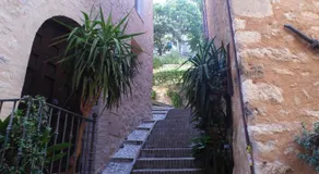 La vecchia vite casa vacanze - Image 5