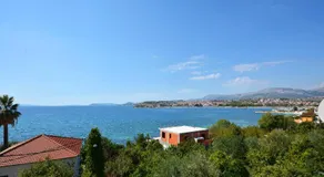 Tri palme - Image 4
