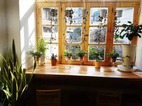 Time Travelers Relax Seoul Guesthouse - Foreigners Only - Image 3
