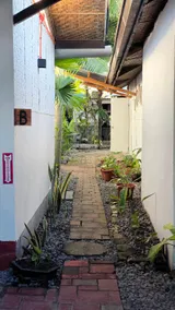 Island Panda's Budget Guesthouse - Image 4