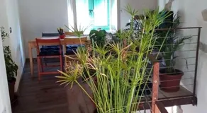YHouse 33 - Image 4