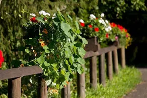 Appartamento con terrazza e giardino - Image 3