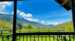 Palmas de Cocora - Image 5