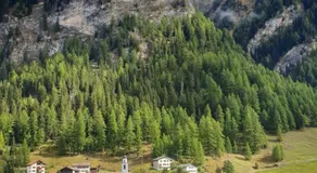 Gasthaus Alpenrose - Image 3