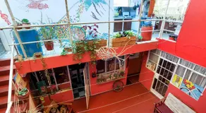 La Casa de Chamo - Image 5