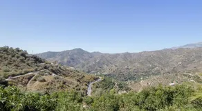 Casa las Olivas - Image 5