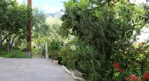Rentoulia Apartments - Image 4