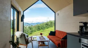 Cabin in the orchard - Image 3