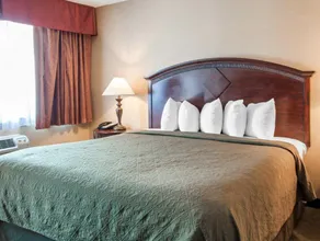 Quality Inn & Suites Airport Portland - Image 3
