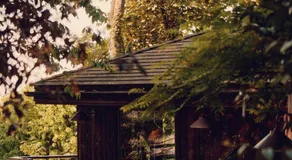 Tiger Lodge - At Port Lympne Hotel & Reserve - Image 5