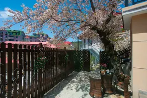 Floral Hotel· Mountain Forest Hotel (Guling Street Cableway Shangzhan Branch) - Image 2