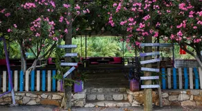 Duran Bungalow - Image 5
