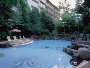 Ryokan Izutsuya - Image 5