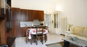 Casina modesta - Image 4