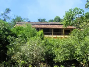 Forest Floor Lodge - Image 4
