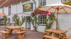 Tiger Inn _ Minnie - Image 3