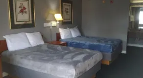 2 Double Beds Hotel Studio 115 - Image 3
