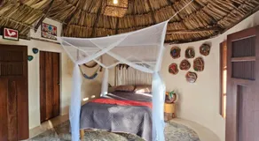 Cabañas Los Gallitos Ecolodge - Image 2