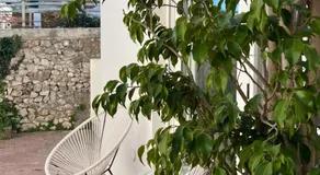 CAPRI DESIGN ROOM - Image 4
