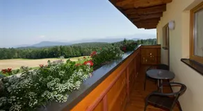 Gasthof Thomann - Image 3