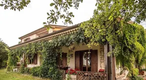 The Forest House - Image 4