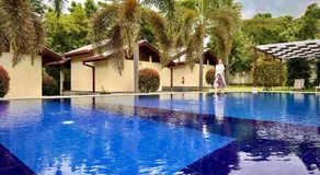 Jungle Paradise - Image 2
