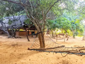 Yala Jungle Haven - Image 5
