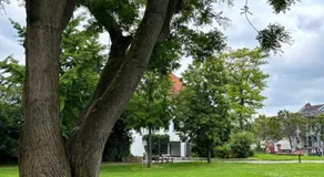 Am Dollespark - Image 5
