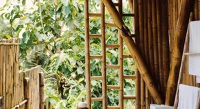 Rania Bamboo Villa by Broga - Image 4