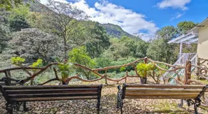 Ibex Resorts, Valparai Mistly - Image 4