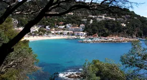 CAPDEVILA 9 - Image 5