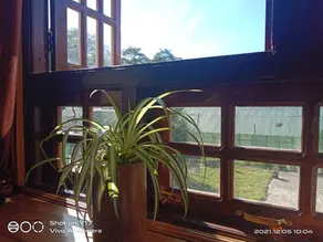 Yuksam Pala's Homestay - Image 4