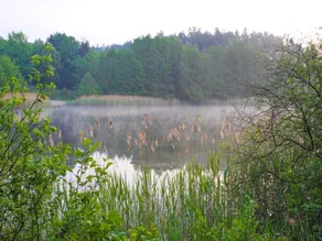 Doppelhaushaelfte Seepferdchen in Lohmen - Image 4