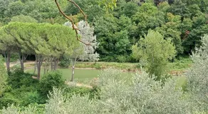 Casa Carolina Vista Lago a San Gimignano - Image 5