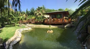 Villa Giulia - Sicilian Luxury Garden - Image 5