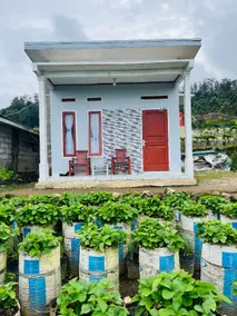 Alma Strawberry ( Home stay ) - Image 4
