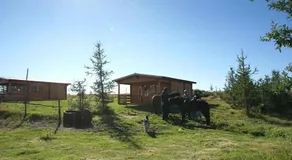Armuli - Image 4