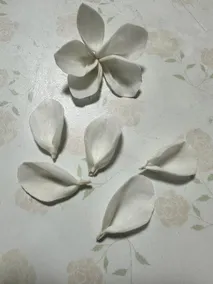 No show - Image 3