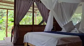 Pal Mar - Image 2