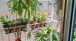 Casita Jolanda - Image 3