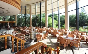 Shenzhen Wuzhou Hotel - Image 3