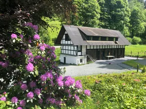 Rückzugsort am Teich in Winterberg - Image 1