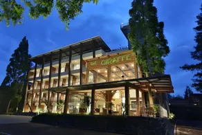 Royal Safari Garden Resort & Convention - Image 3