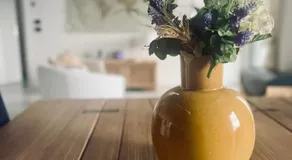 Deltasol - Image 4