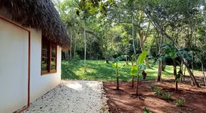Cabaña Magica & Yoga - Image 4