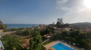 Happy Paradise - Image 3