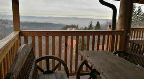 Tree House - Image 2
